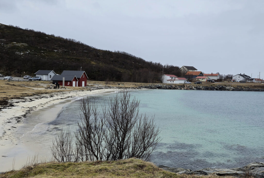 Beach with red buildings and bare trees at Sommarøy, Norway