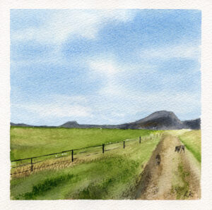 Watercolor painting of a sunny field in Colorado.