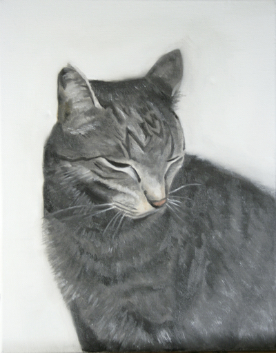 tabby cat in greyscale