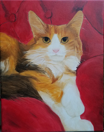 fluffy calico cat with red chair in the background