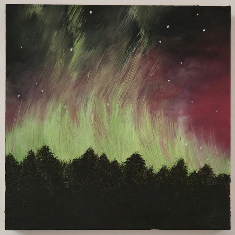 northern lights dancing over trees