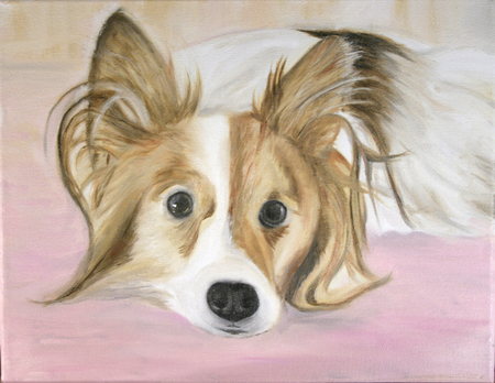 dog with pink background