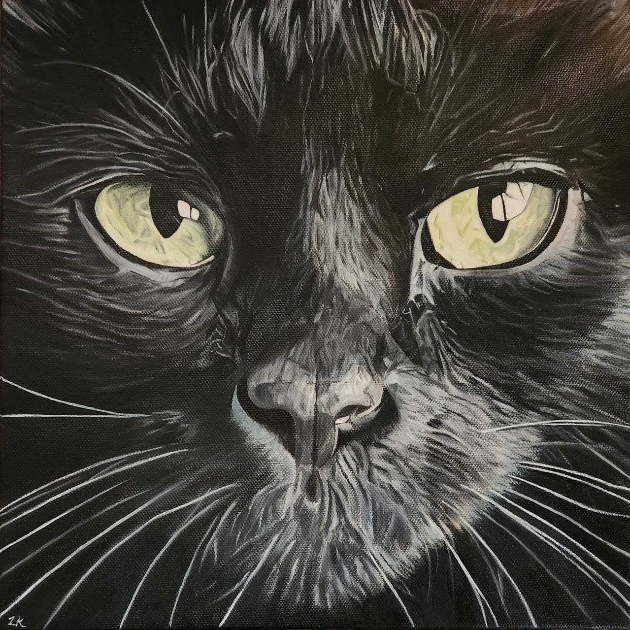 Black cat closeup