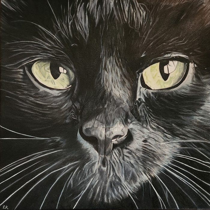 Close up of a black cat painting